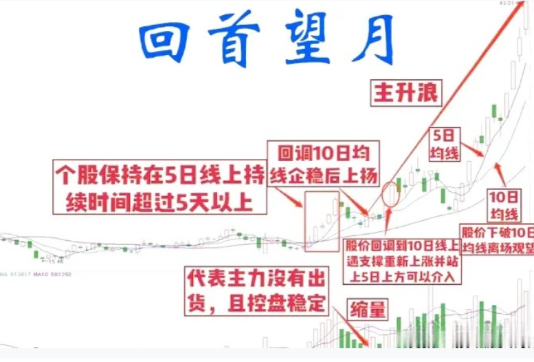 回首望月4大实操用法