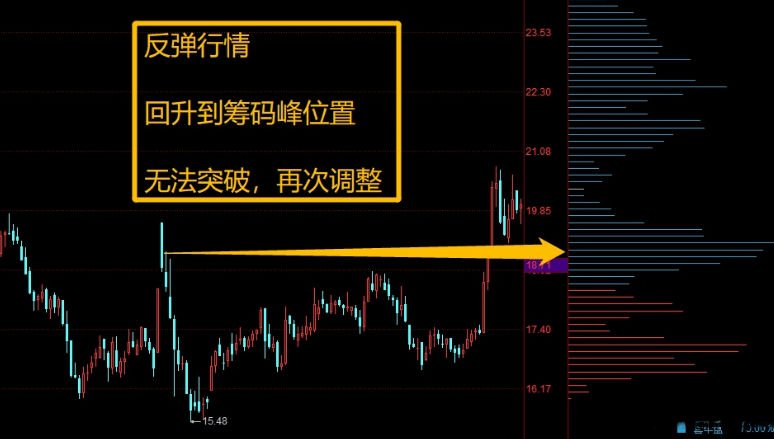 筹码分布图