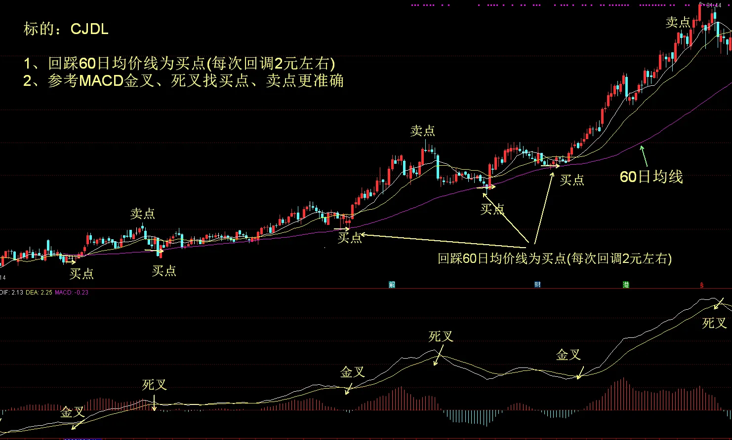 持续稳定的盈利模式