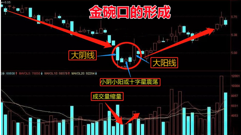 金碗口形态