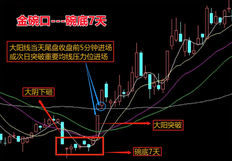 金碗口形态
