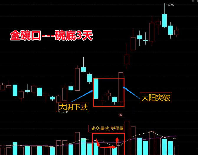 金碗口形态