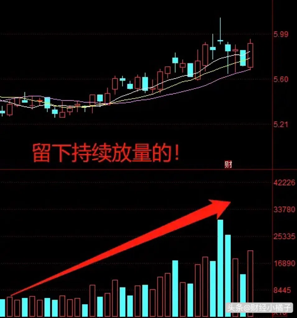 一夜持股法