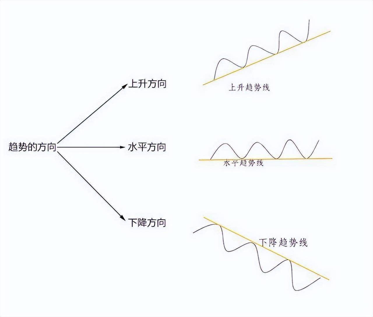 一位深圳炒股大赛冠军箴言能从股市赚钱的只有一种人相当深刻