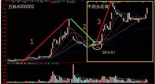 股票账户从50万亏损到现在的17万这种水平在A股能打败多少散户