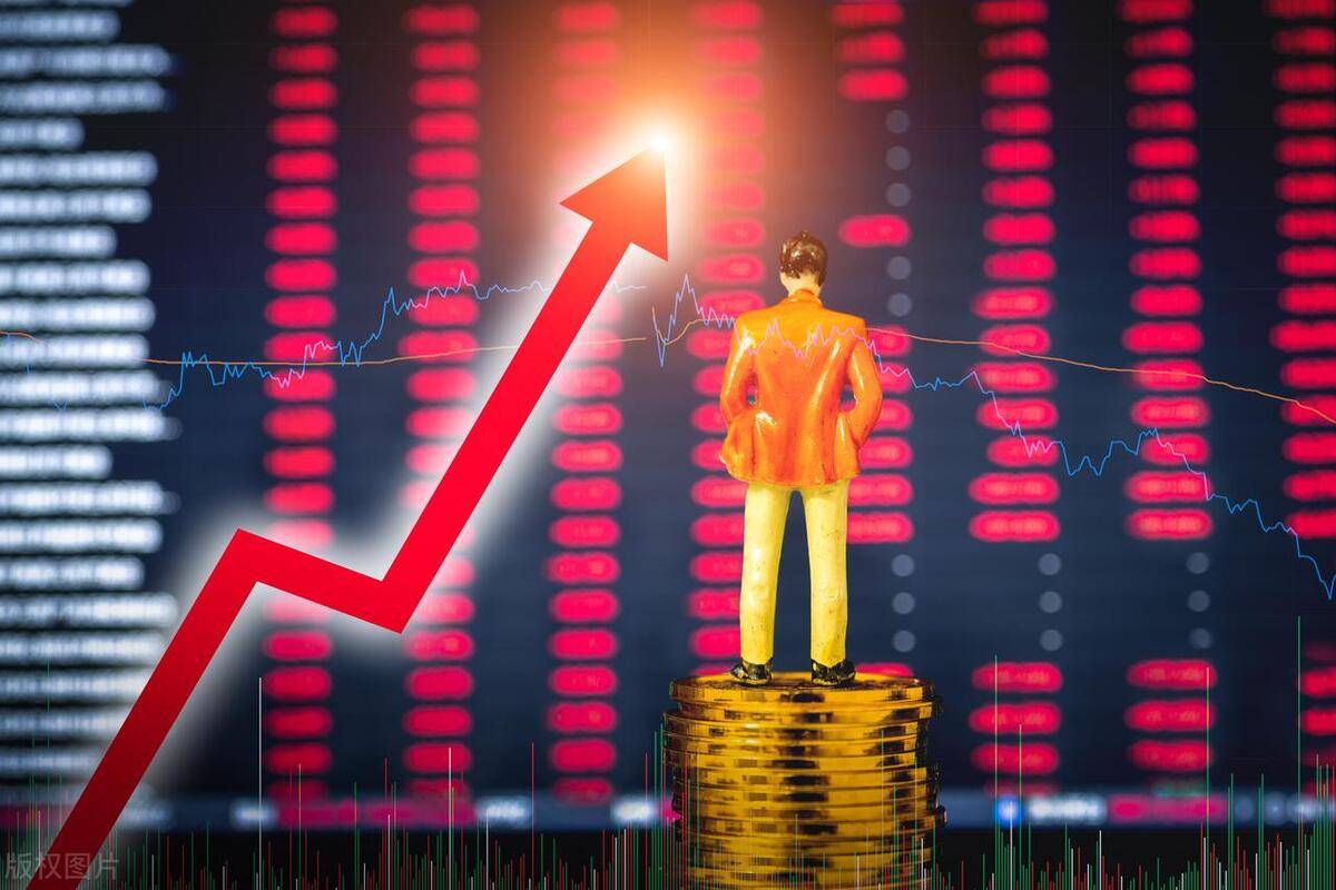 散户投资秘籍摆脱亏损修炼思维与构建体系的成功之道