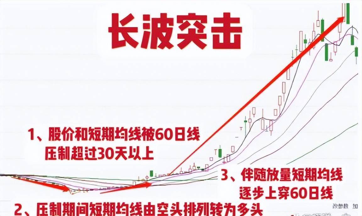 靠炒股实现财富自由的人写给还正在迷茫中的股民此文值得深思