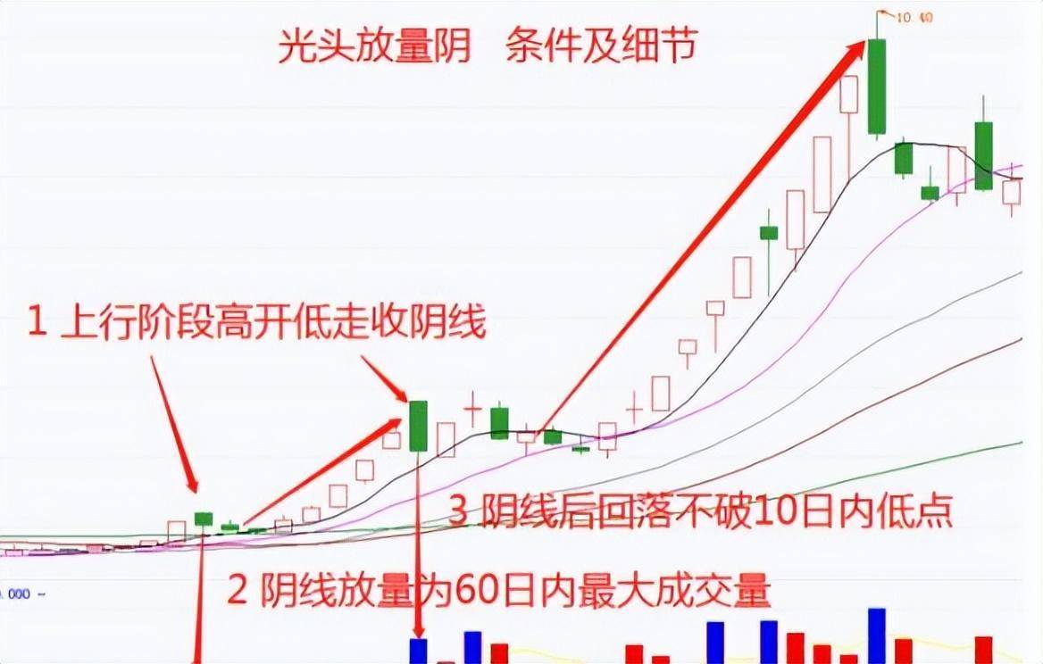 靠炒股实现财富自由的人写给还正在迷茫中的股民此文值得深思