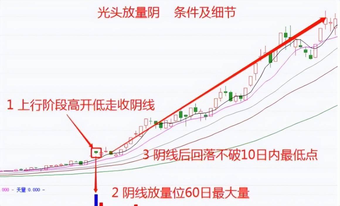 靠炒股实现财富自由的人写给还正在迷茫中的股民此文值得深思