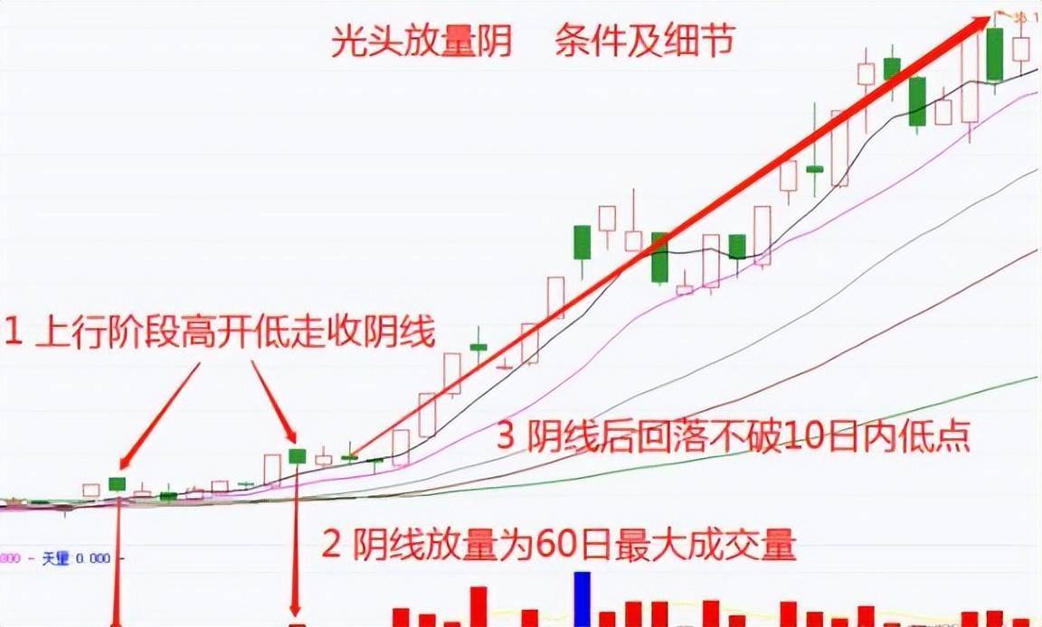 靠炒股实现财富自由的人写给还正在迷茫中的股民此文值得深思