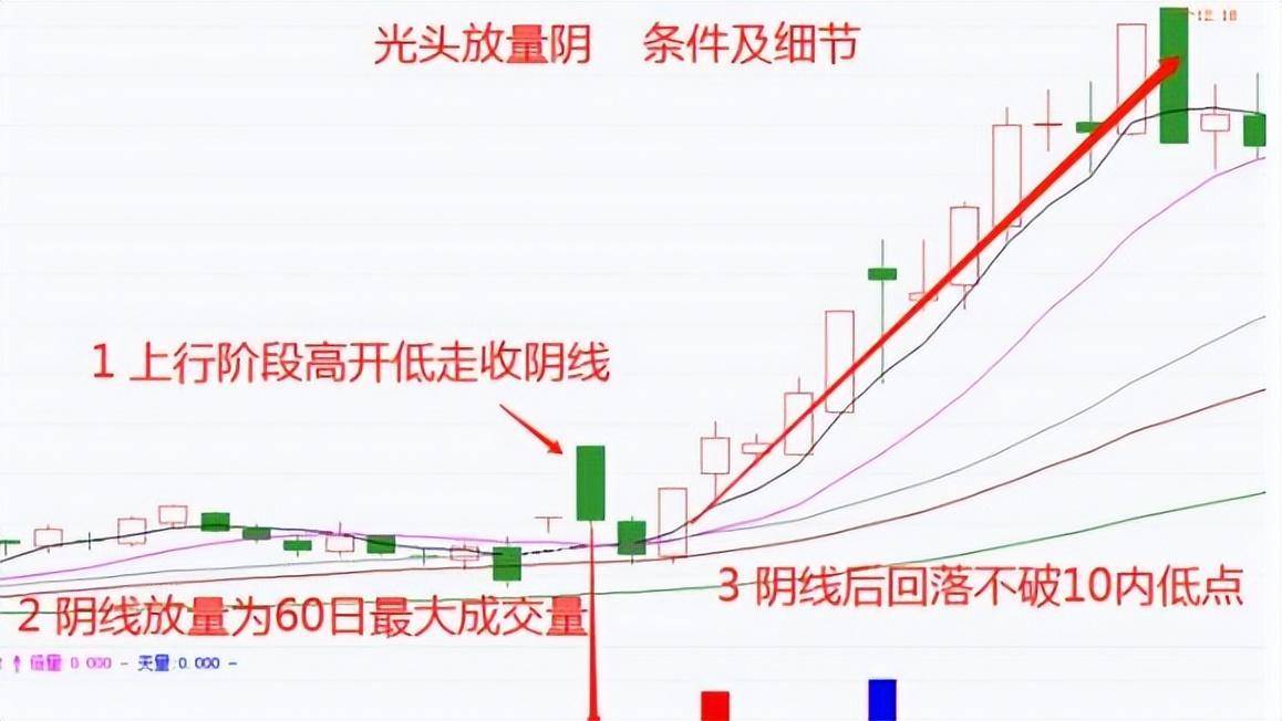 靠炒股实现财富自由的人写给还正在迷茫中的股民此文值得深思