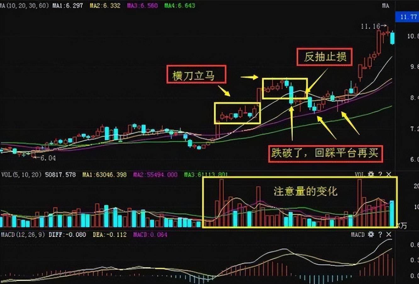 散户从来都没亏过的阴线买入法这才是真正的追涨不追高！