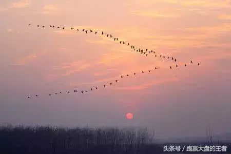 用共识的理论把握趋势变化