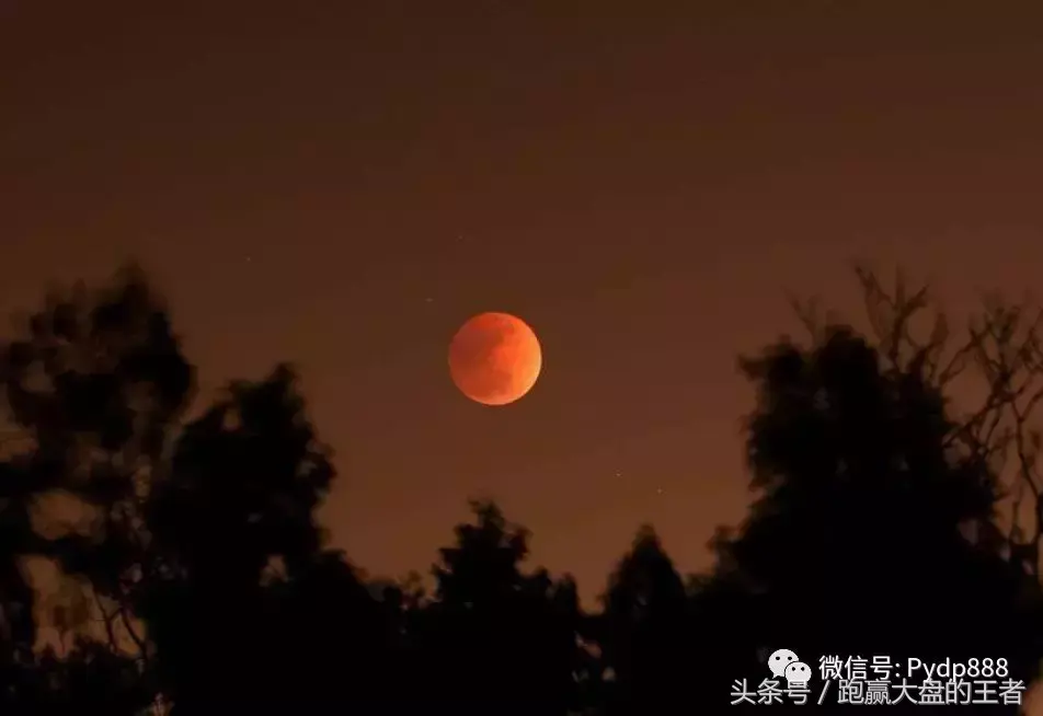 A股出现连环地雷！如何在踩踏惨剧中活命？