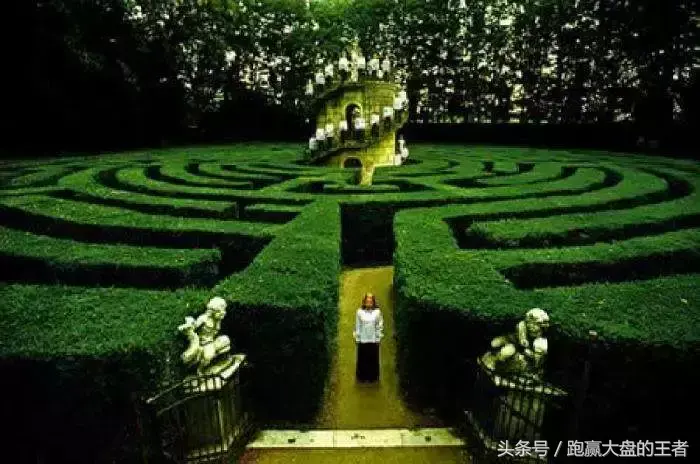 不要在指数的涨跌中迷失方向
