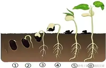 炒股获利是一个循序渐进的过程