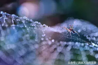 寻找股市增量资金的蛛丝马迹