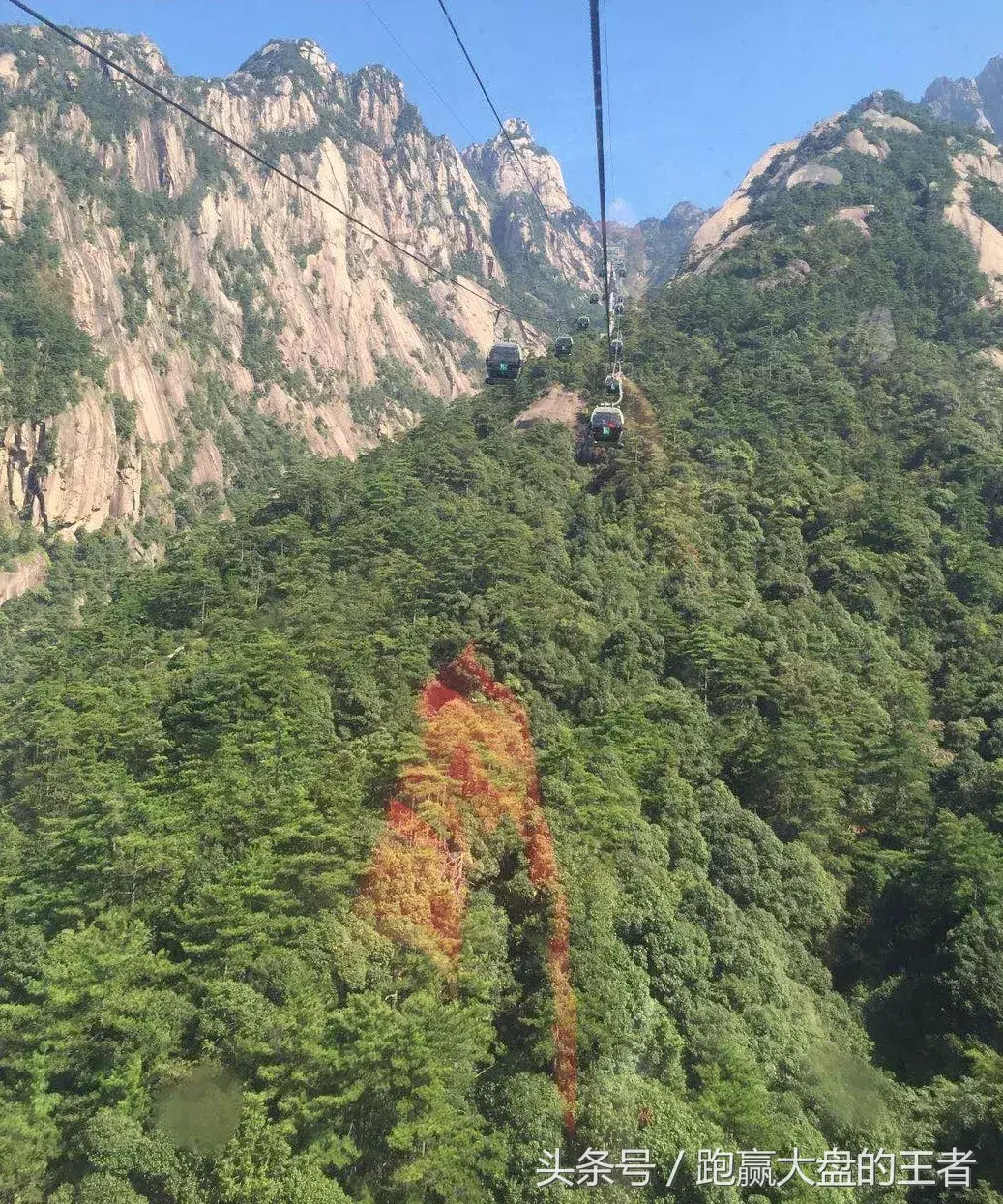 对抗股市中贪婪和恐惧最好的工具！