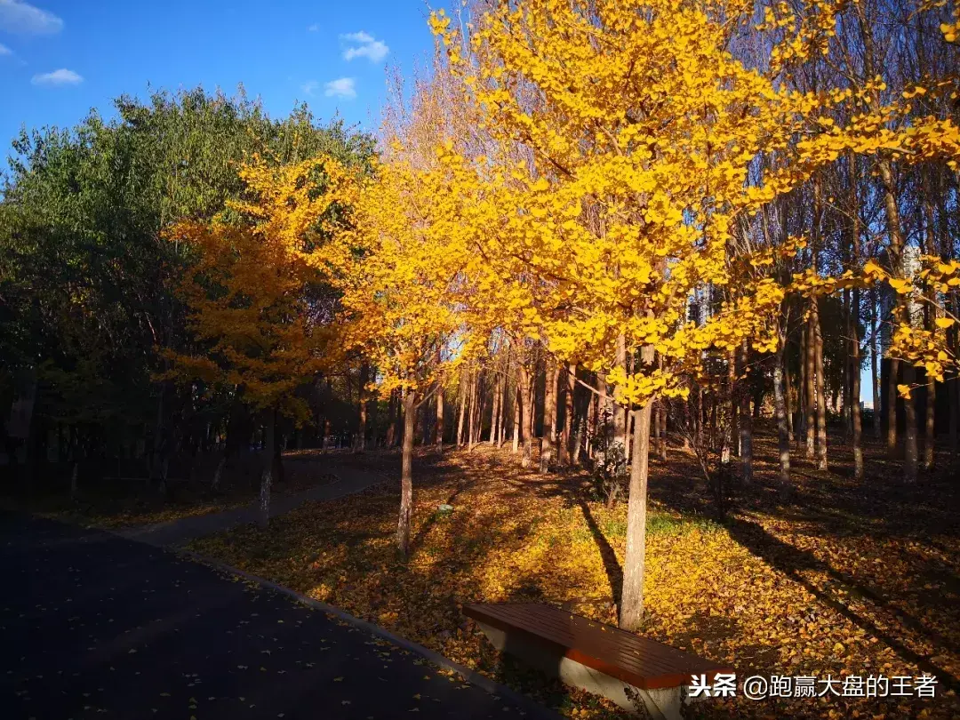 利好不断信心稳步增长！