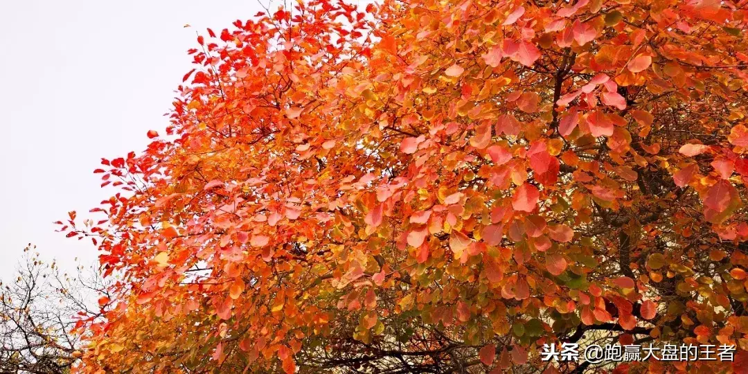错过创投的车别再错过这类股票!