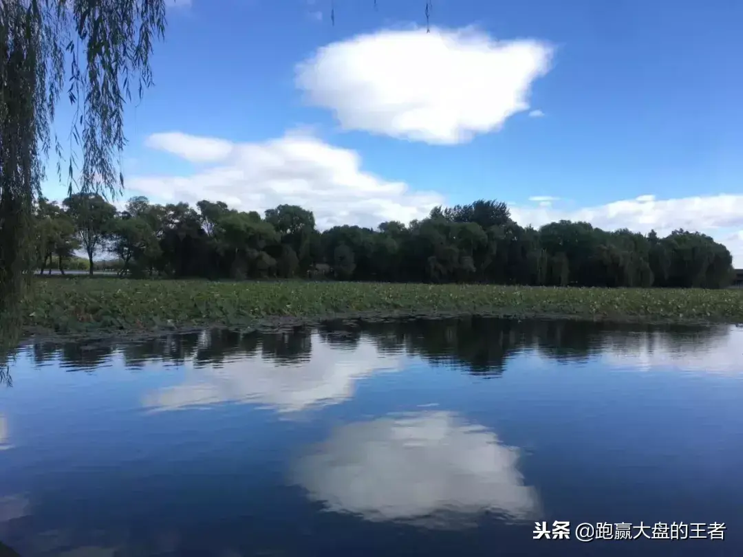 行情突变原因揭秘!何时重仓进场?