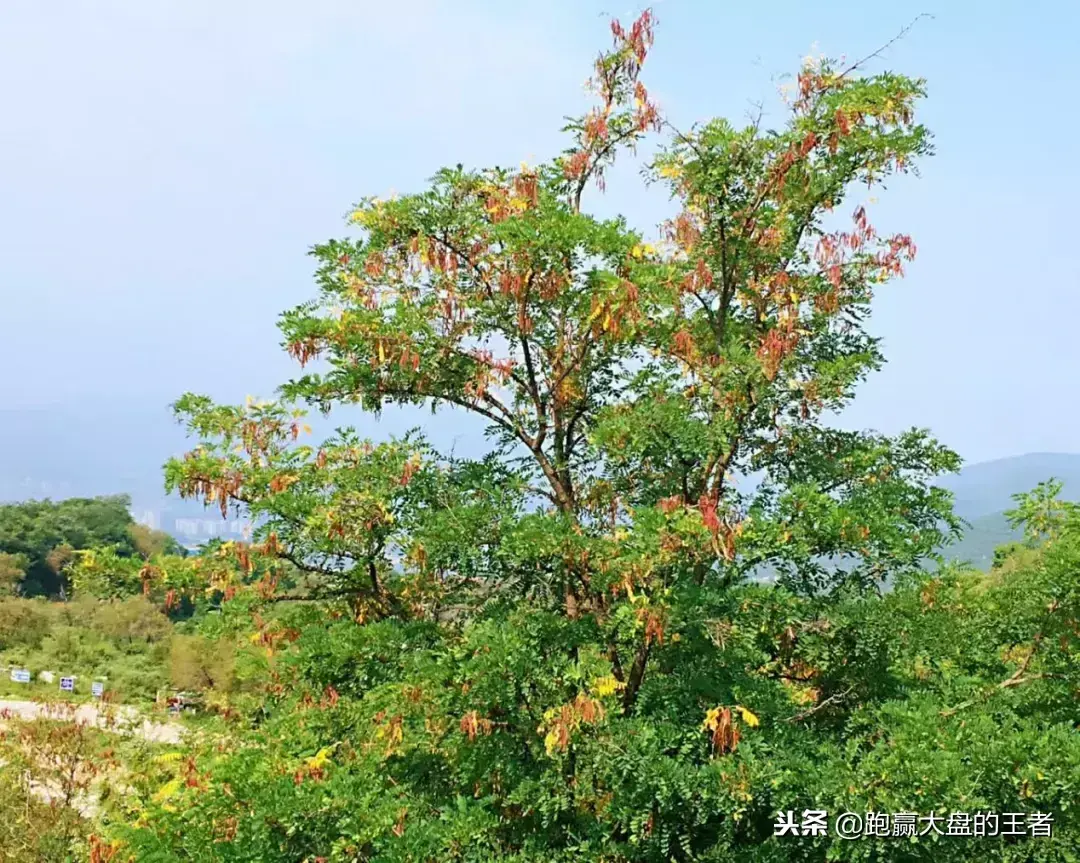 这一信号暗示玄机股市将沧桑巨变?
