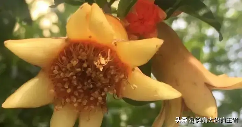 重磅！高度重视这个板块机会！