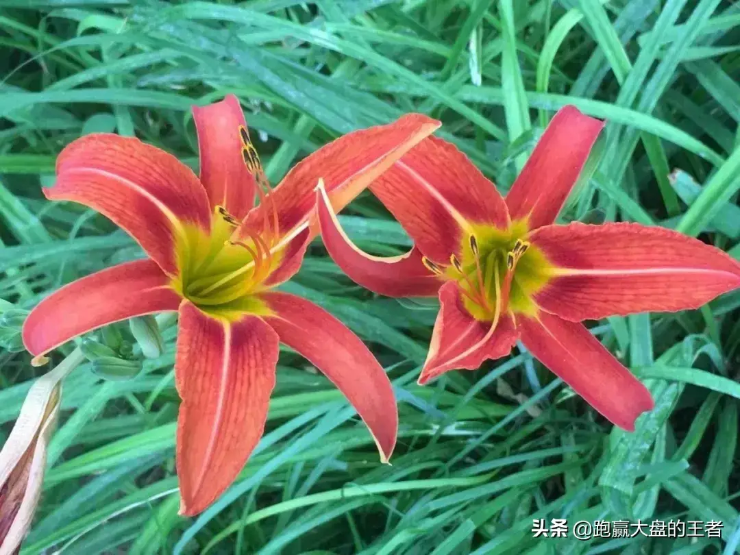 收评天雷滚滚股市焕发新生机！