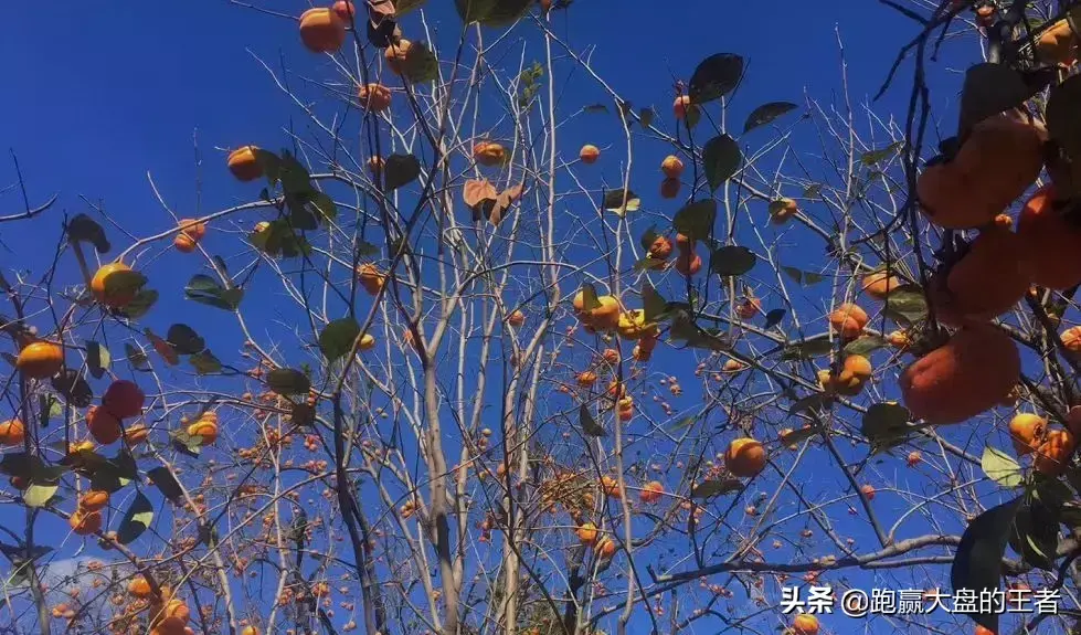 火爆行情提防出现一暗箭！