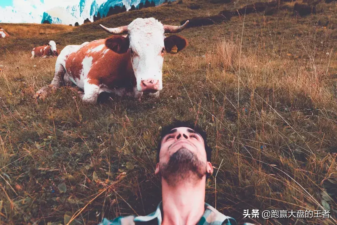如何解读今天这个跳空的缺口？