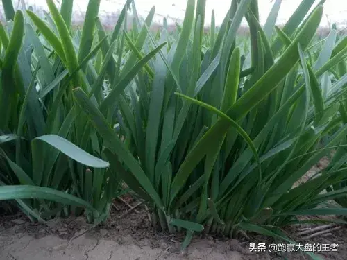 轮回法则你还是上一轮熊市的那波韭菜吗？