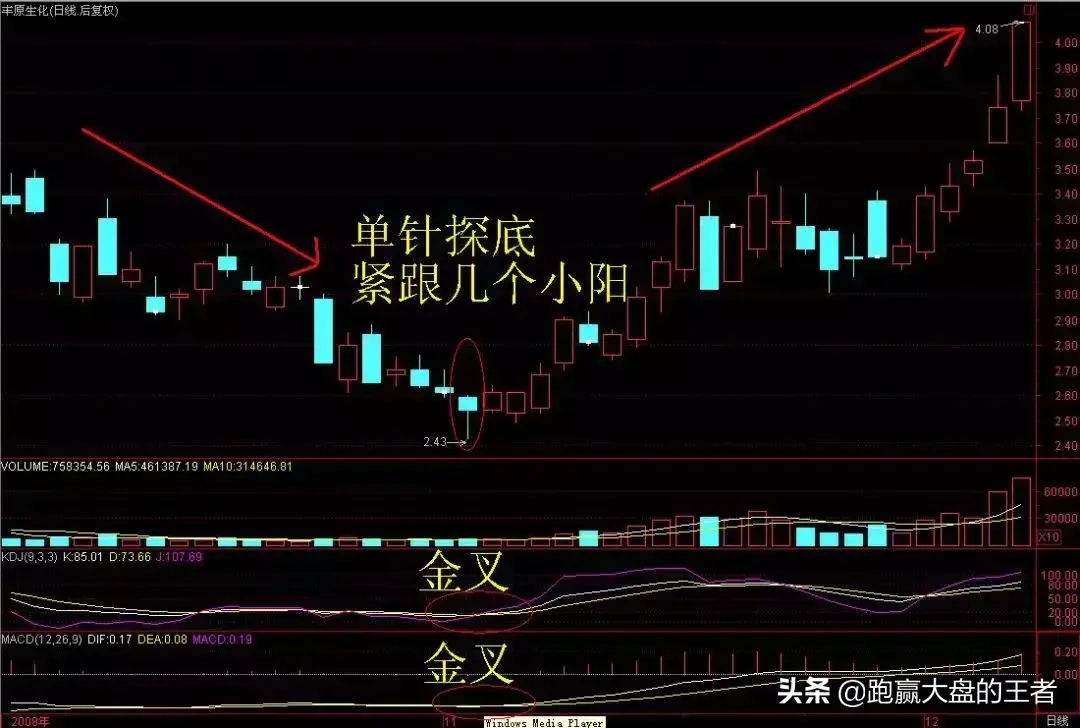 王者猎杀黑马节选定海神针