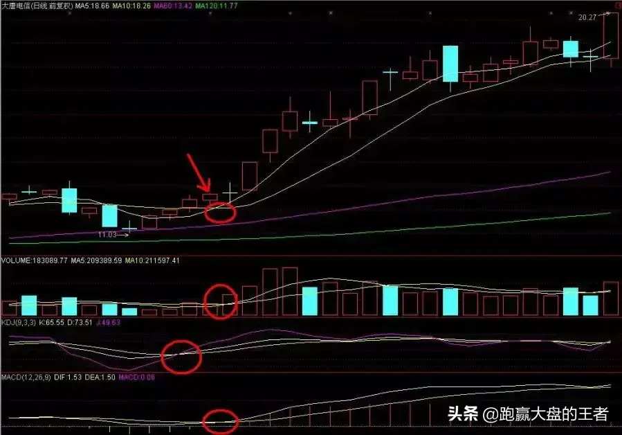 王者猎杀黑马节选四喜临门