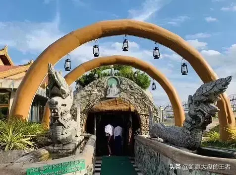 股市为啥总不涨？对造假罚得太轻