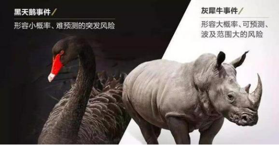 人工智能真的会成为实体经济的灰犀牛吗?