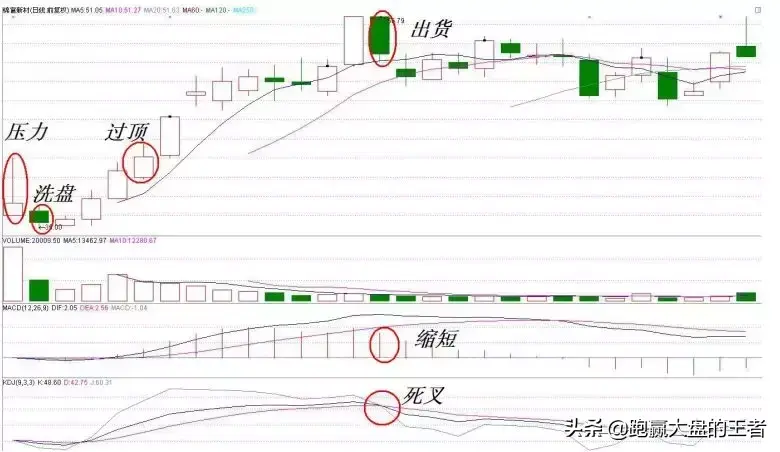 王者过顶擒龙节选过顶擒龙