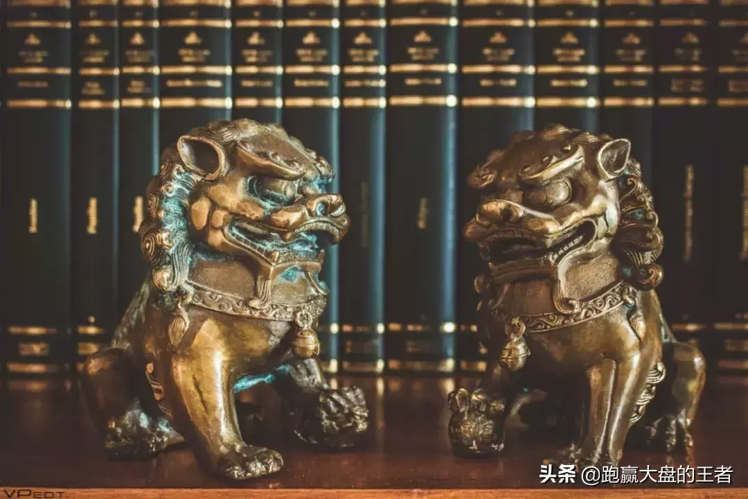 透过动物世界看懂国际形势
