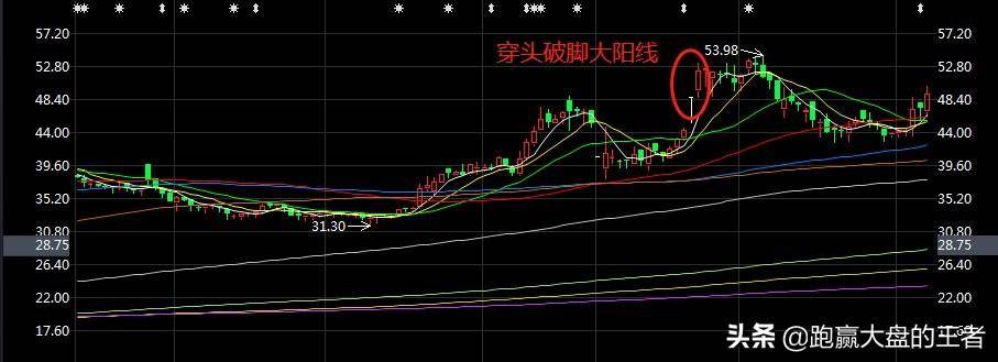 大阳线的种类及操作要领