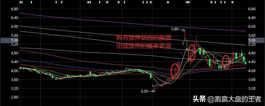 涨停板与阶段趋势