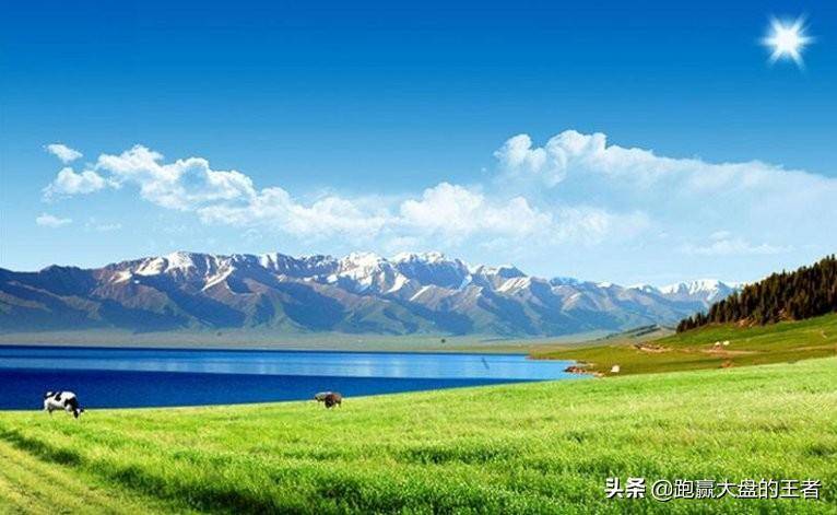 出现超大买单就要跟进？万万不可