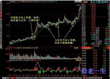 均线藏有哪些赚钱的秘密?