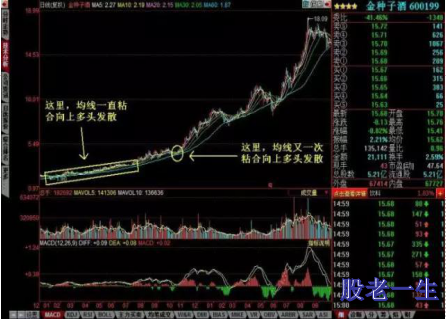 均线藏有哪些赚钱的秘密?