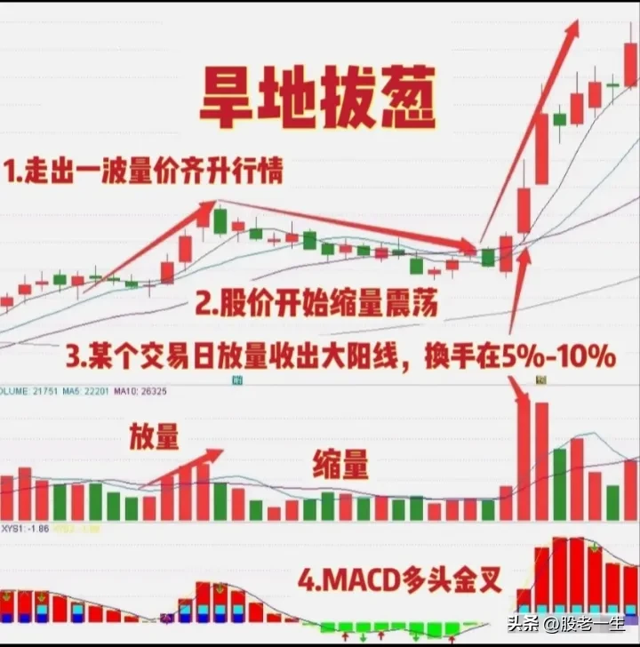 “旱地拨葱”技术特征