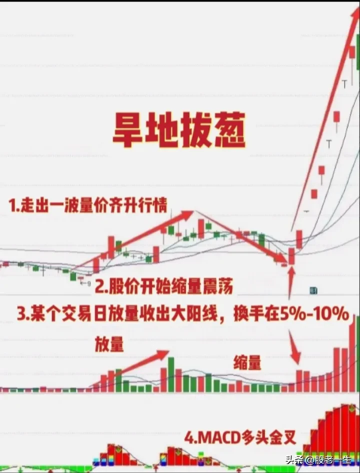 “旱地拨葱”技术特征