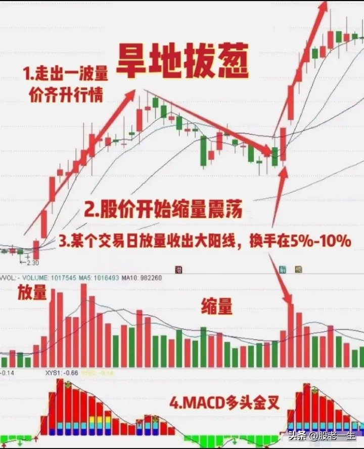 “旱地拨葱”技术特征