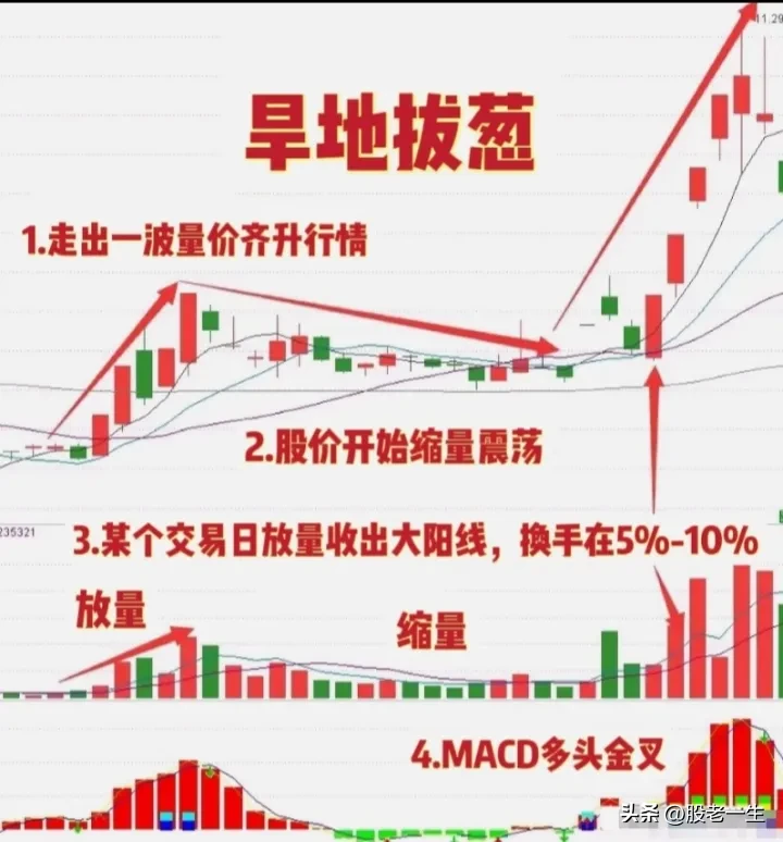 “旱地拨葱”技术特征