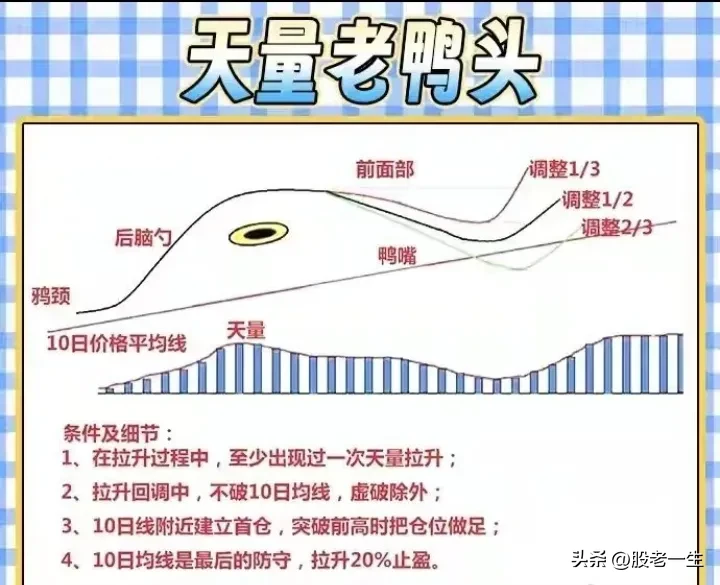 “老鸭头形态”