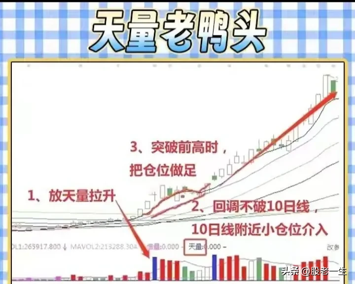 “老鸭头形态”