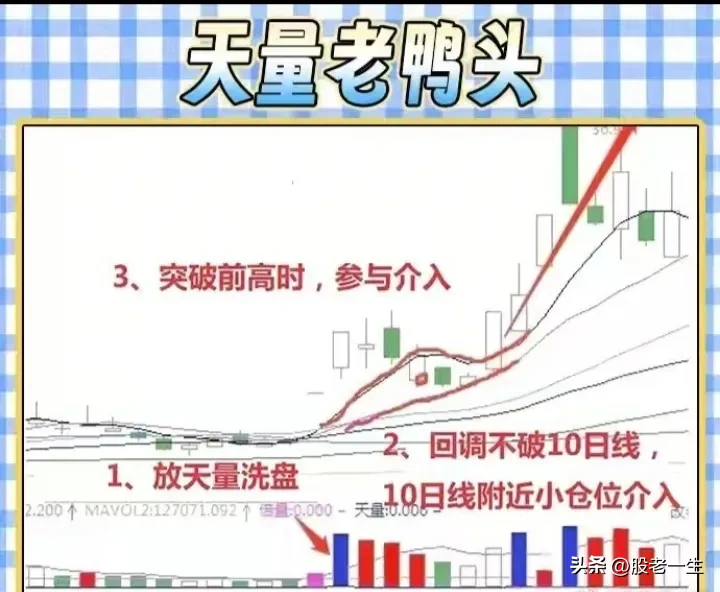 “老鸭头形态”