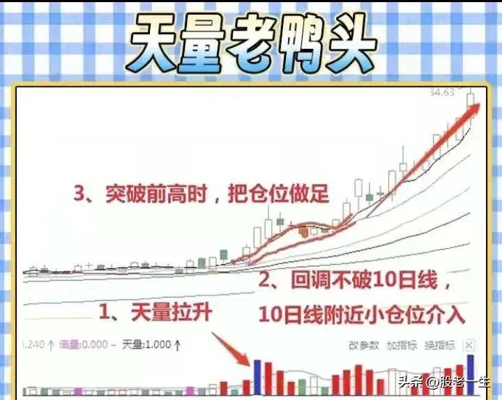 “老鸭头形态”